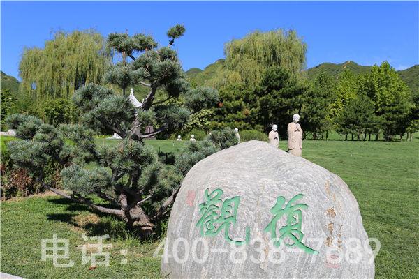 哪些名人葬在天寿园公墓？